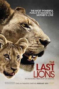 Poster for The Last Lions (2011).