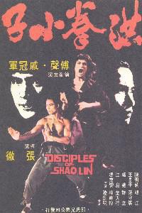 Plakat filma Hong quan xiao zi (1975).