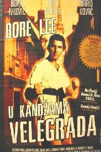 Poster for Bore Lee: U kandzama velegrada (2003).