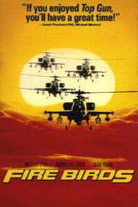 Poster for Fire Birds (1990).