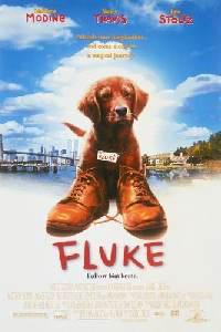 Poster for Fluke (1995).