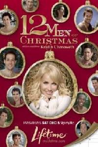 Poster for 12 Men of Christmas (2009).