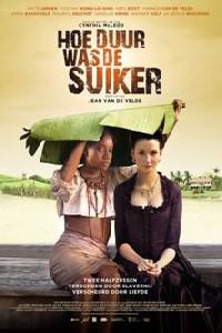 Poster for Hoe Duur was de Suiker (2013).