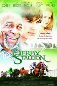 Poster for The Derby Stallion (2005).