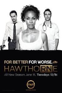 Poster for Hawthorne (2009) S01E04.