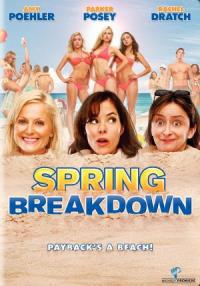 Poster for Spring Breakdown (2009).