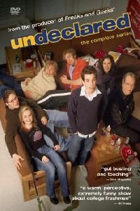 Poster for Undeclared (2001) S01E06.