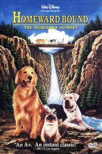 Poster for Homeward Bound: The Incredible Journey (1993).