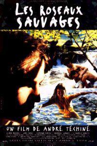 Poster for Les roseaux sauvages (1994).