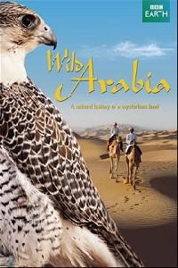 Poster for Wild Arabia (2013) S01E01.