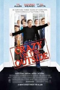 Poster for Crazy on the Outside (2010).