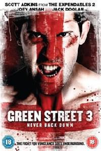 Poster for Green Street 3: Never Back Down (2013).