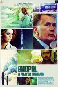 Poster for Bhopal: A Prayer for Rain (2013).