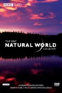 Poster for The Natural World (1983) S31E07.