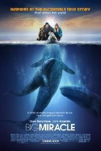 Poster for Big Miracle (2012).