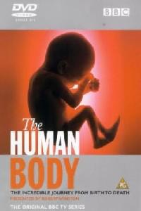 Poster for BBC: The Human Body (1998).