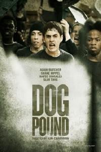 Poster for Dog Pound (2010).