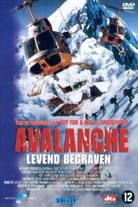 Poster for Avalanche (2004).