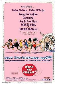 Poster for What's New, Pussycat (1965).