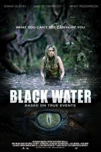 Poster for Black Water (2007).