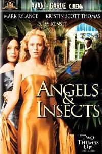 Poster for Angels and Insects (1995).