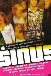Poster for Sinus (2005).