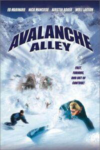 Plakat Avalanche Alley (2001).