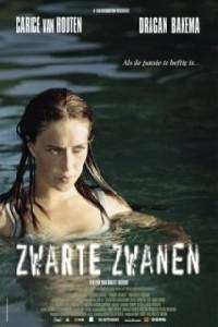 Poster for Zwarte zwanen (2005).
