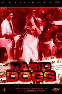 Poster for Cani arrabbiati (1974).