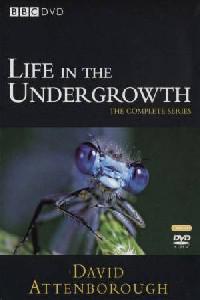 Poster for Life in the Undergrowth (2005) S01E01.