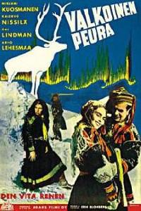 Poster for Valkoinen peura (1952).