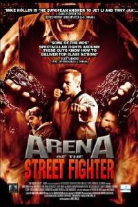 Poster for Arena of the Street Fighter (2012).