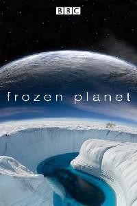 Plakat filma Frozen Planet (2011).
