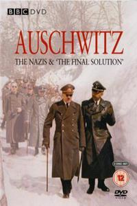 Poster for Auschwitz: The Nazis and the 'Final Solution (2005).