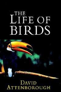 The Life of Birds (1998) Cover.