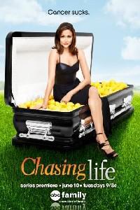 Plakát k filmu Chasing Life (2014).