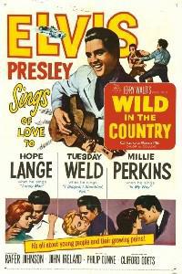 Plakát k filmu Wild in the Country (1961).