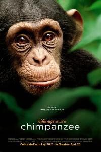 Plakat filma Chimpanzee (2012).