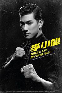 Bruce Lee, My Brother (2010) Cover.