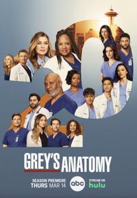 Plakát k filmu Grey's Anatomy (2005).