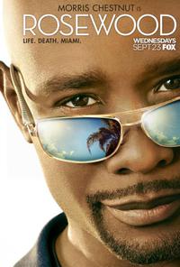 Poster for Rosewood (2015).