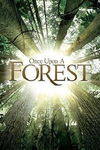 Poster for Il était une forêt (2013).