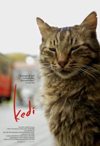 Cartaz para Kedi (2016).