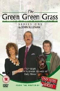 Poster for The Green Green Grass (2005).