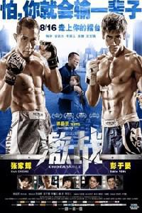 Poster for Ji zhan (2013).