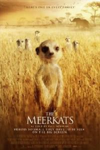 Омот за The Meerkats (2008).