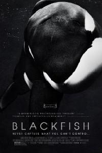 Plakat Blackfish (2013).