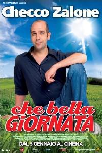 Poster for Che Bella giornata (2011).