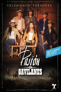 Plakát k filmu Pasión de gavilanes (2003).