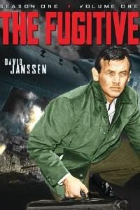 Plakat filma The Fugitive (1963).
